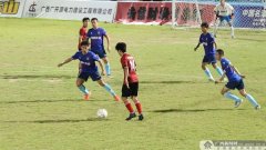 置了荔枝展销集市、荔枝音乐荟、万人同