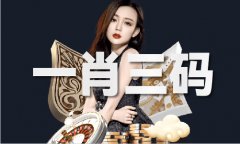 <strong>包罗“进修地方科技委员会相关会议”“</strong>